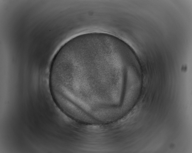 X0000102851508200809021348