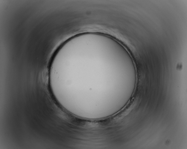 X0000102851509200809021348