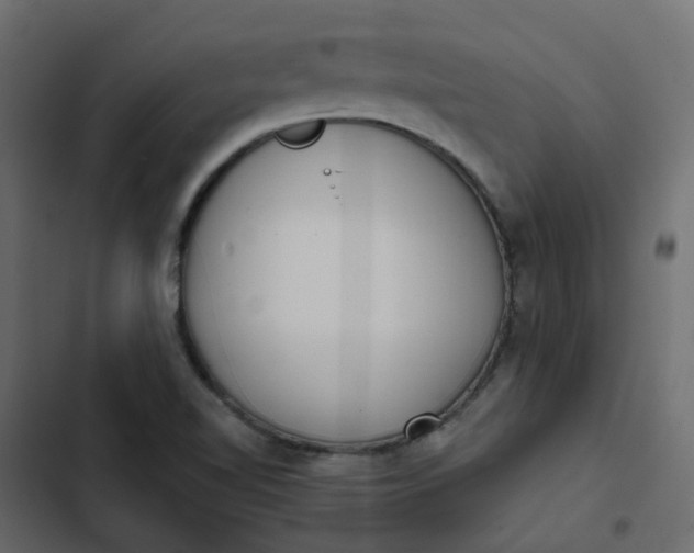 X0000102851510200809021348