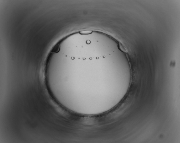 X0000102851511200809021348