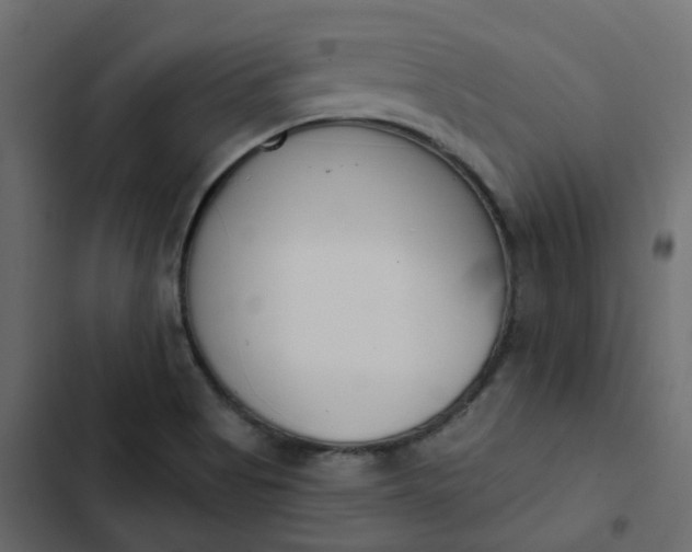 X0000102851513200809021349