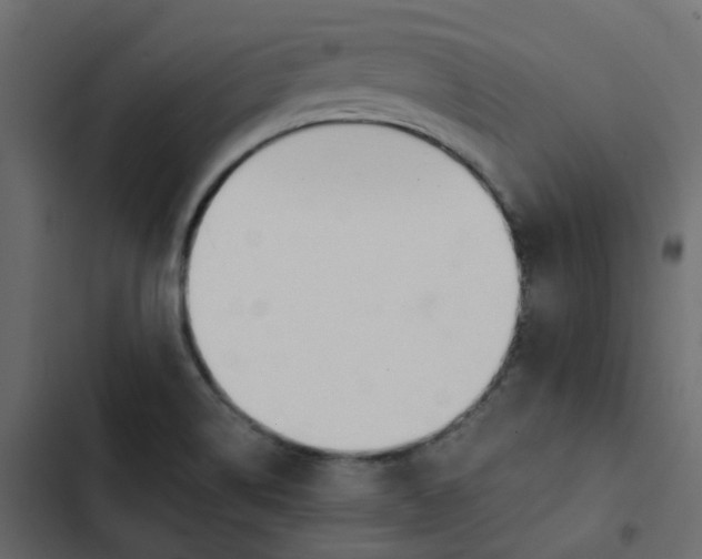 X0000102851514200809021349