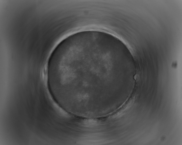 X0000102851515200809021349