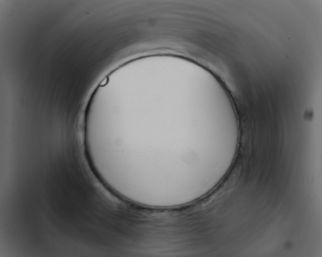 X0000102851516200809021349