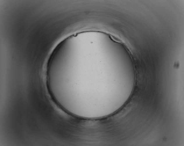 X0000102851519200809021349