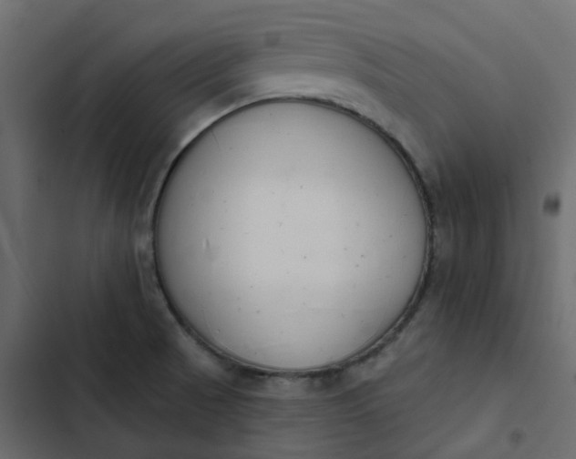 X0000102851521200809021349