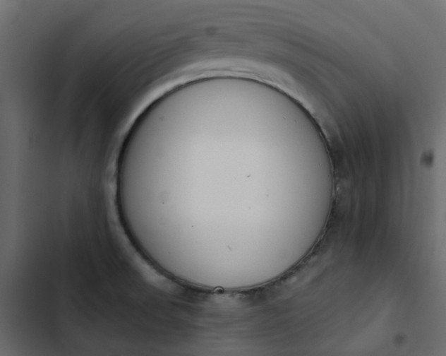 X0000102851523200809021349