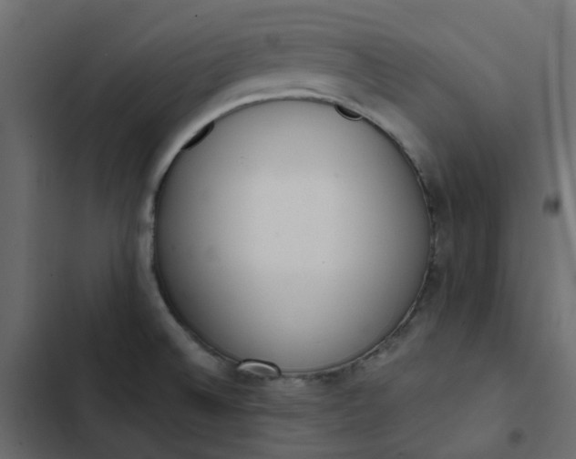 X0000102851524200809021349