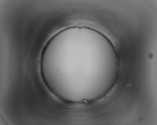 X0000102851525200809021349