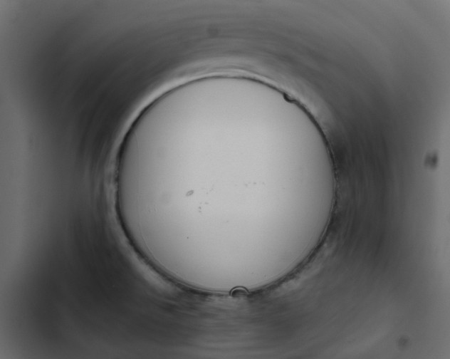 X0000102851526200809021349