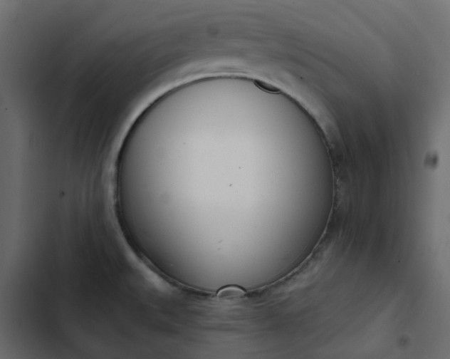 X0000102851527200809021349