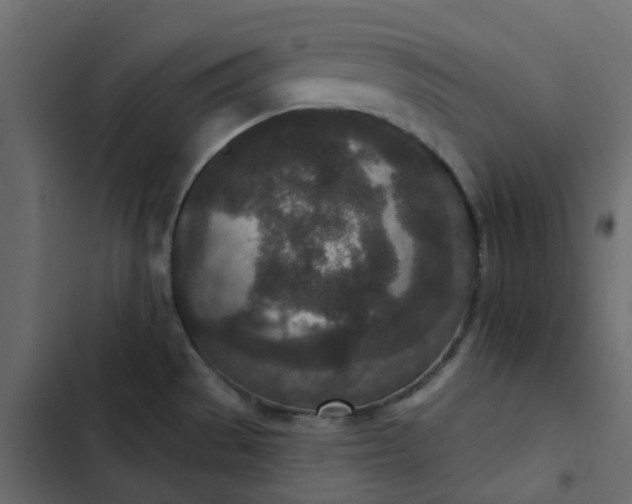 X0000102851529200809021349