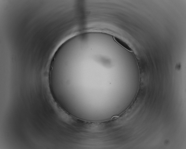 X0000102851530200809021349