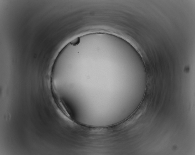 X0000102851535200809021349