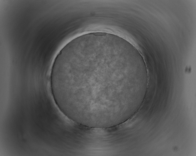 X0000102851536200809021349