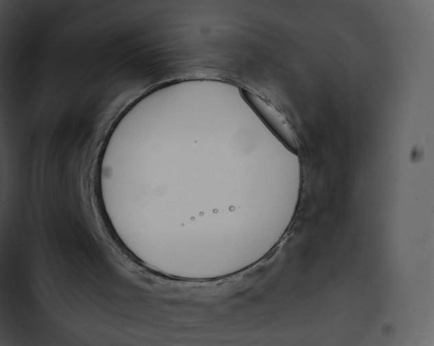 X0000102850001200809081254