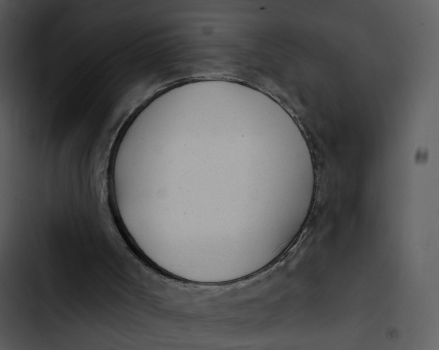 X0000102850002200809081254