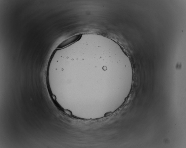 X0000102850003200809081254