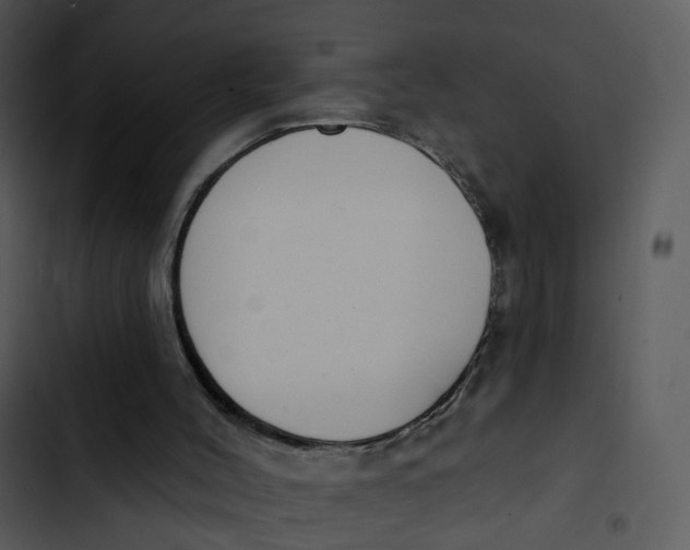 X0000102850004200809081254