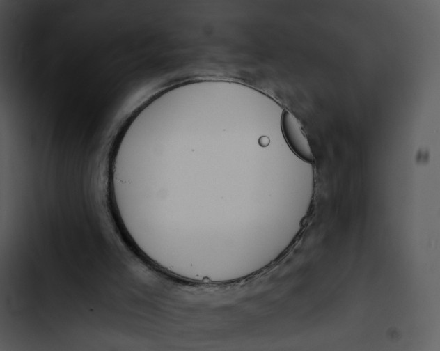 X0000102850005200809081254