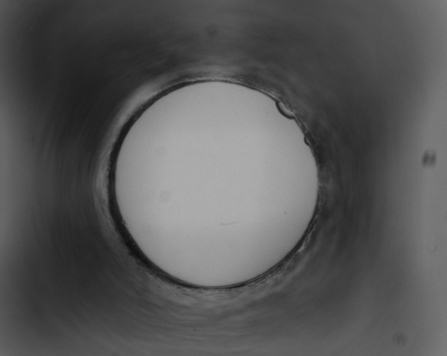 X0000102850006200809081254