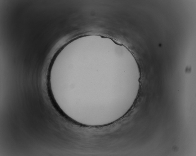 X0000102850007200809081254