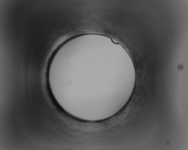 X0000102850008200809081254