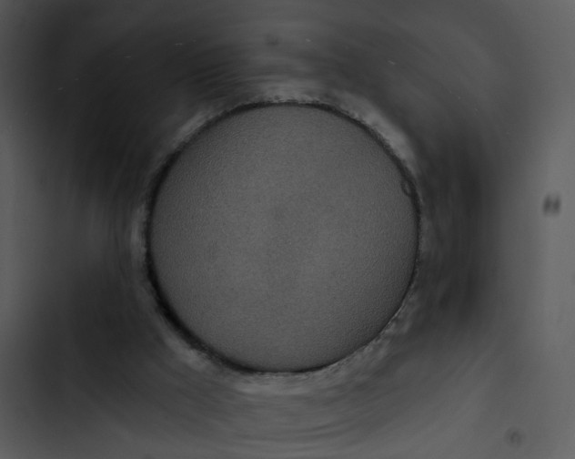 X0000102850009200809081254