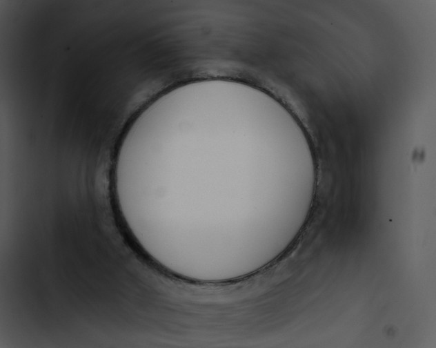 X0000102850010200809081254