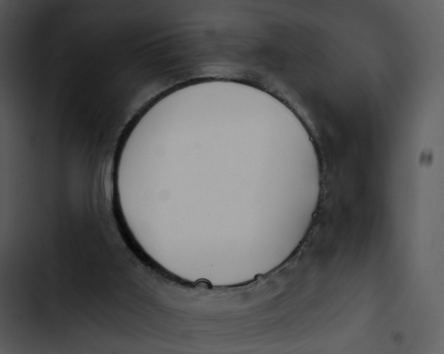 X0000102850011200809081254