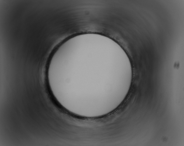 X0000102850012200809081254