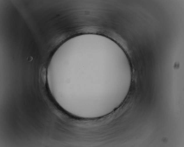 X0000102850013200809081254