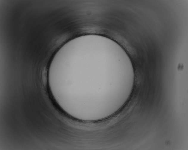 X0000102850014200809081254