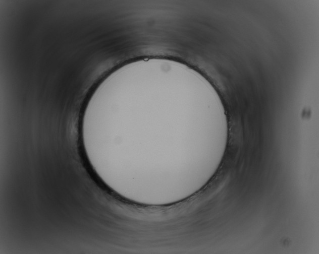 X0000102850015200809081254