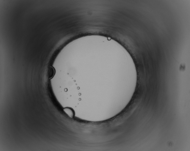 X0000102850016200809081254