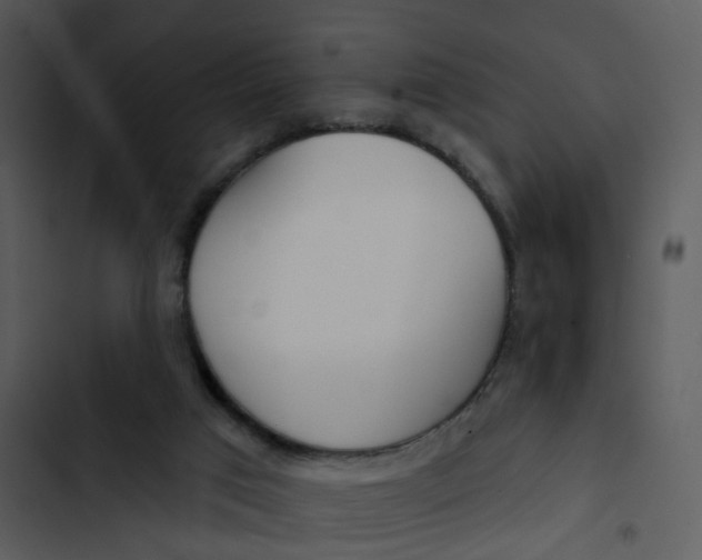 X0000102850017200809081254