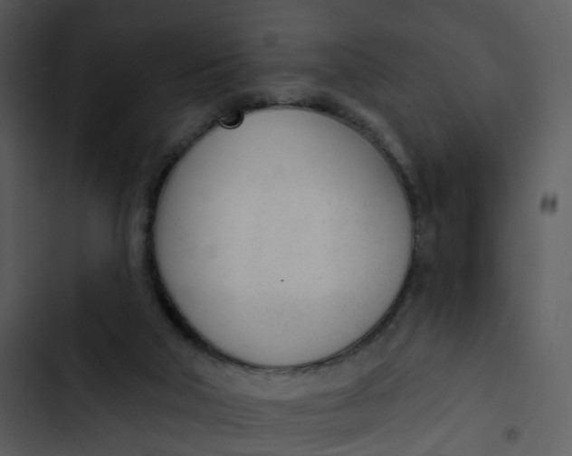 X0000102850018200809081254