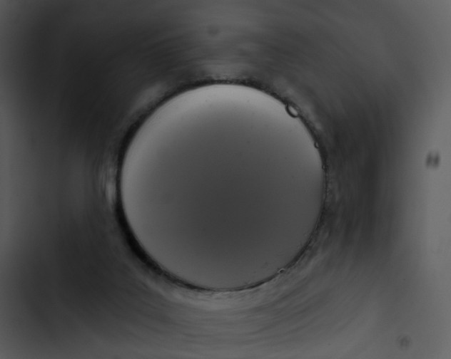 X0000102850019200809081254