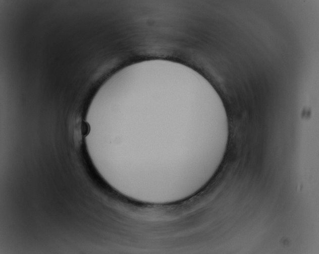 X0000102850020200809081254