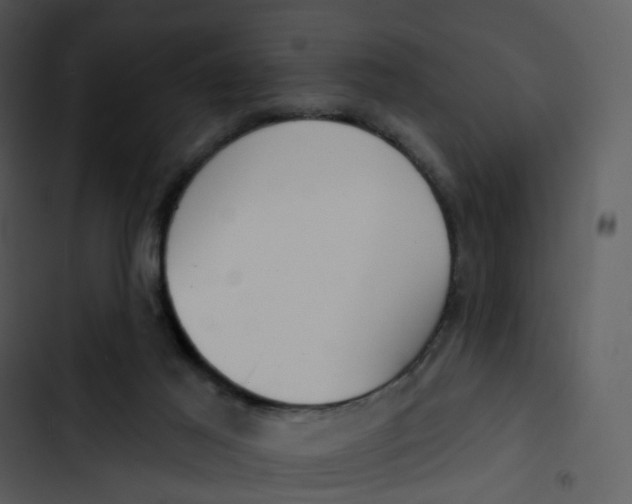 X0000102850021200809081254