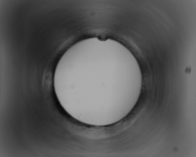 X0000102850024200809081254