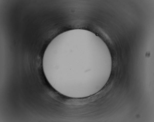 X0000102850025200809081254