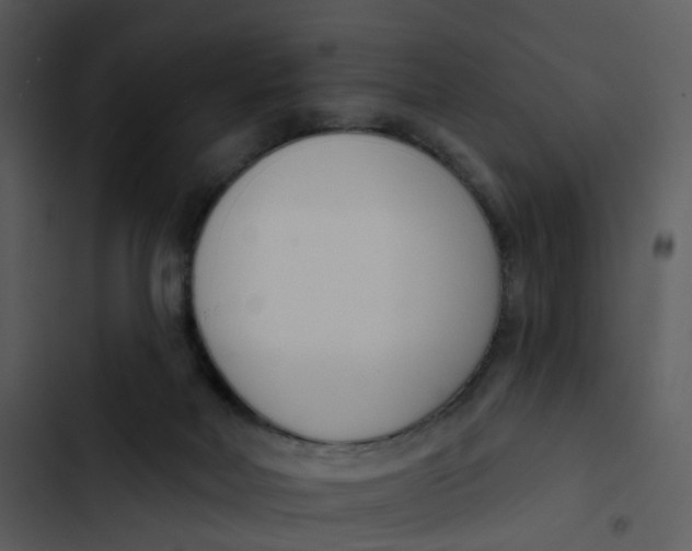 X0000102850026200809081254