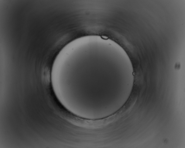 X0000102850027200809081254