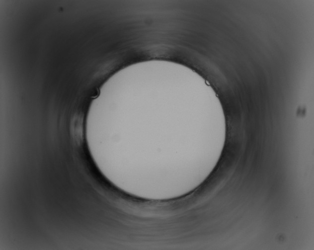 X0000102850028200809081254