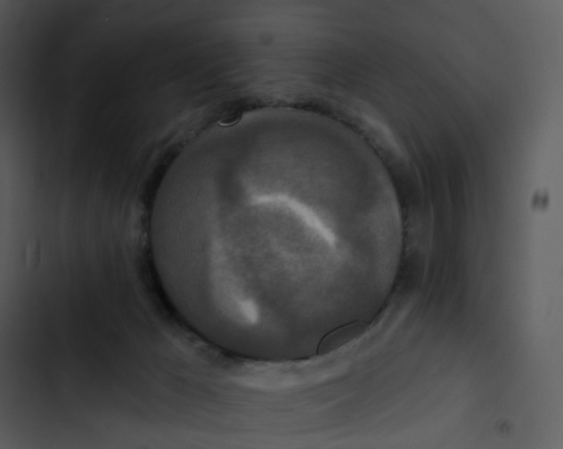 X0000102850029200809081254