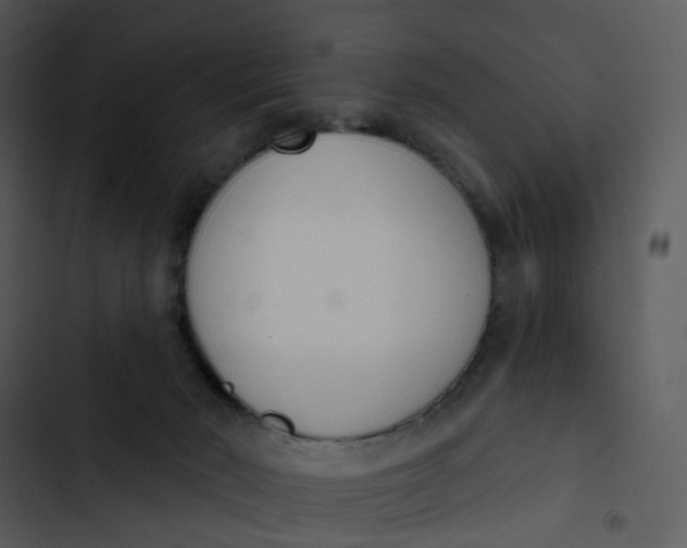 X0000102850030200809081254