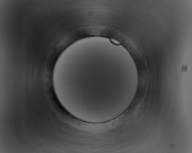 X0000102850031200809081254