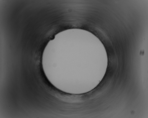 X0000102850032200809081254