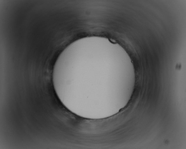 X0000102850033200809081254